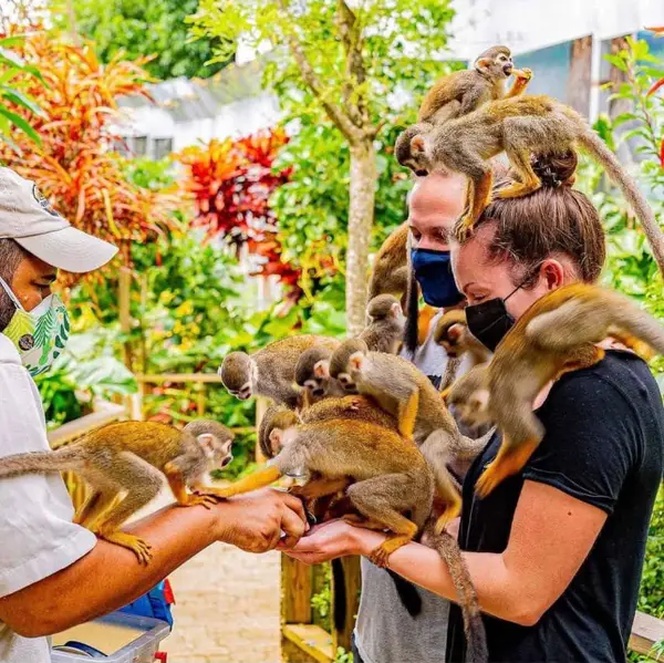 Foto de Monkeyland Punta Cana